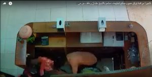 شاهد فيديو صادم ومروع من عدن .. لحظة اطلاق النار على عمال مطعم لتأخيرهم في تقديم الطعام “تفاصيل”