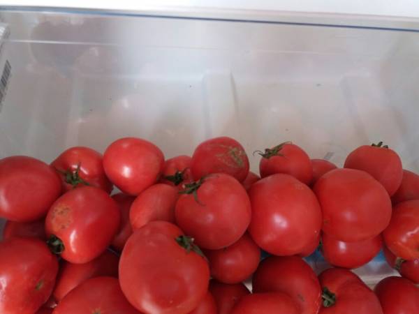 لماذا يجب ألا تحفظوا الطماطم أبداً في الثلاجة؟