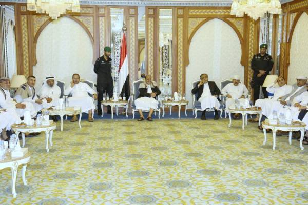 نائب رئيس الجمهورية يؤكد على أهمية اضطلاع أعضاء مجلس النواب بمهامه التشريعية