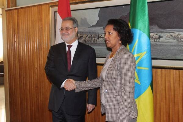نائب رئيس الوزراء وزير الخارجية يبحث مع وزيرة الشؤون السياسية الاثيوبية العلاقات الثنائية