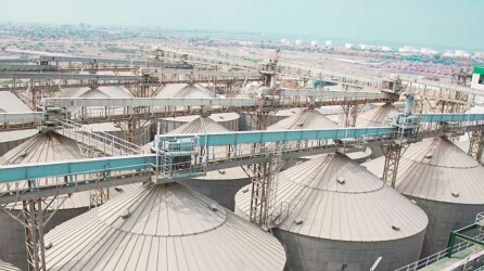 برنامج الغذاء العالمي يفضح مليشيا الحوثي.. مخزون القمح في اليمن معرض للتلف