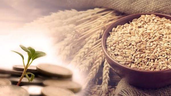 توقيت إخراج زكاة الفطر 2026 وأفضل المواعيد شرعاً لتوزيعها